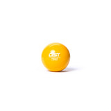 AceSportz PlyoBallz