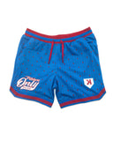 Mesh Pinstripe Shorts - Blue/Red