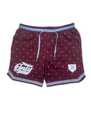 YOUTH Mesh Pinstripe Shorts - Maroon/Sky Blue